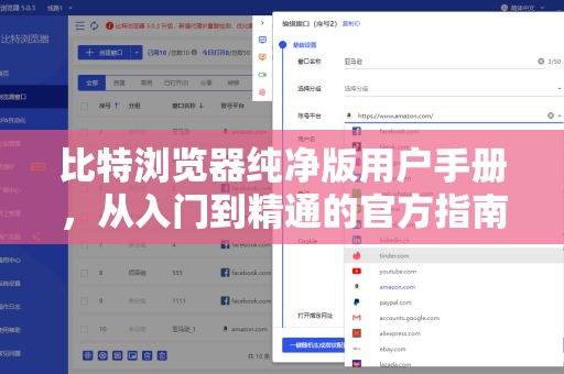 比特浏览器纯净版用户手册，从入门到精通的官方指南