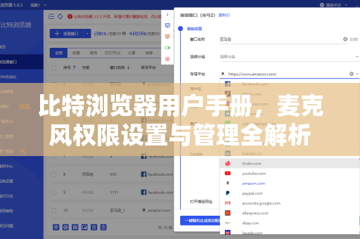比特浏览器用户手册，麦克风权限设置与管理全解析
