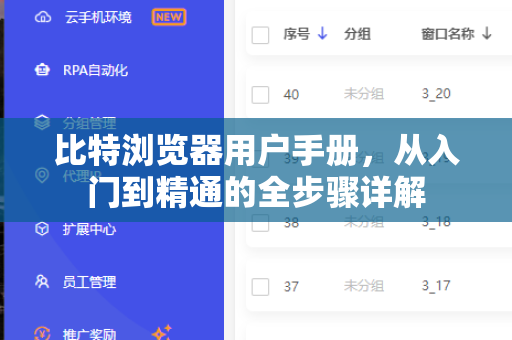 比特浏览器用户手册，从入门到精通的全步骤详解