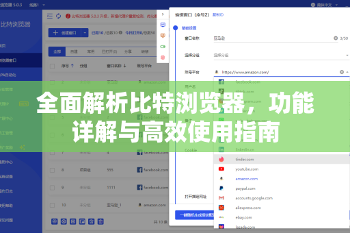 全面解析比特浏览器，功能详解与高效使用指南