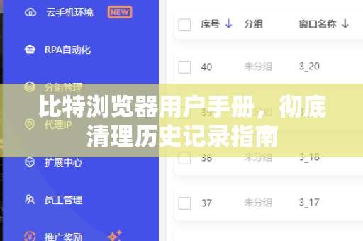 比特浏览器用户手册，彻底清理历史记录指南