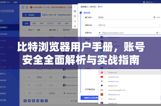比特浏览器用户手册，账号安全全面解析与实战指南