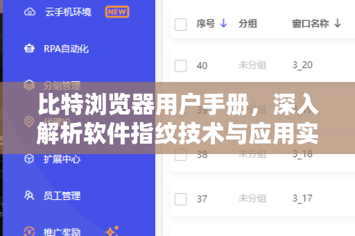 比特浏览器用户手册，深入解析软件指纹技术与应用实践