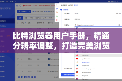 比特浏览器用户手册，精通分辨率调整，打造完美浏览环境
