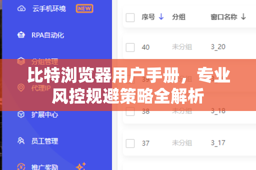 比特浏览器用户手册，专业风控规避策略全解析