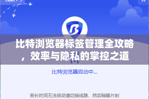 比特浏览器标签管理全攻略，效率与隐私的掌控之道