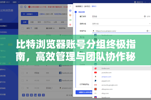 比特浏览器账号分组终极指南，高效管理与团队协作秘籍