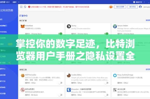 掌控你的数字足迹，比特浏览器用户手册之隐私设置全解析