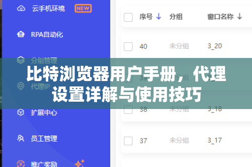 比特浏览器用户手册，代理设置详解与使用技巧