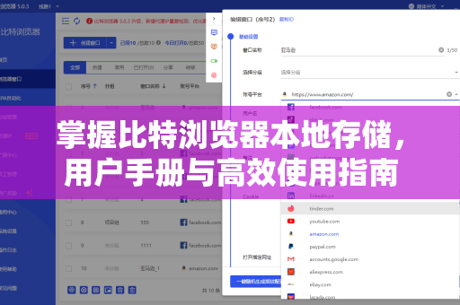 掌握比特浏览器本地存储，用户手册与高效使用指南