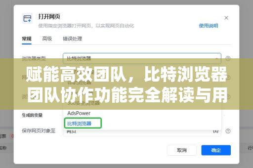 赋能高效团队，比特浏览器团队协作功能完全解读与用户手册