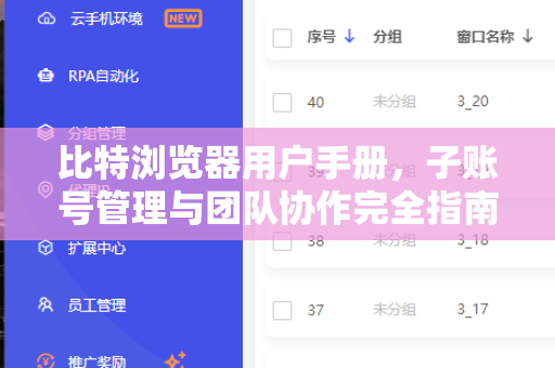 比特浏览器用户手册，子账号管理与团队协作完全指南
